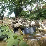 Aretxarte