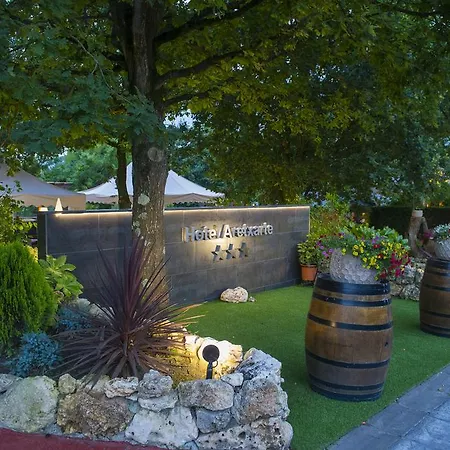 Aretxarte Hotell 3*